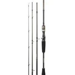 Canne Casting Daiwa Exceler Mobile