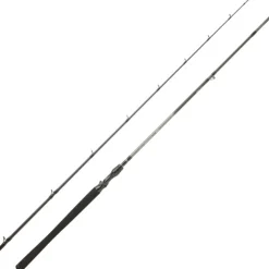 Canne Casting Daiwa Exceler 2025