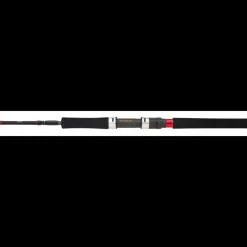 Canne Casting Daiwa Grandwave Jigging