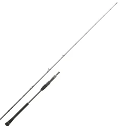 Canne Casting Daiwa Legalis Jigging 2023