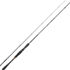 Canne Casting Daiwa Prorex XR 2023