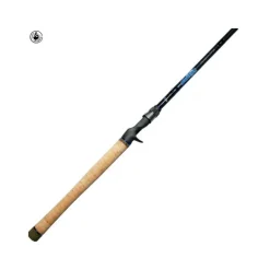 Canne Casting Dobyns Champion 705 CBMF Glass