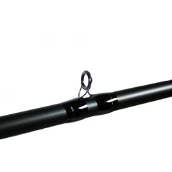 Canne Casting Dobyns Champion XP 736 CB Glass