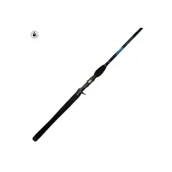 Canne Casting Dobyns Champion 806 HSB