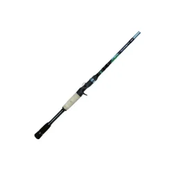 Canne Casting Dobyns Fury 663 C
