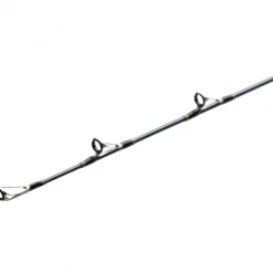 Canne Casting Penn Battalion Solid Boat