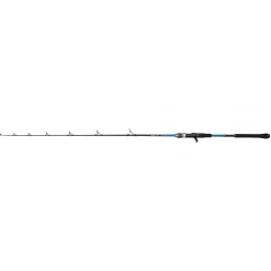 Canne Casting Penn Retaliate X Jigging