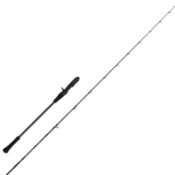 Canne Casting Savage Gear Defiance SG2 Slow Jigging