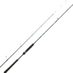 Canne Daiwa Emeraldas Boat 2025