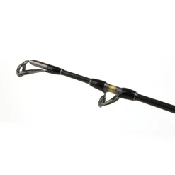 Canne de traine Shimano Tyrnos B Stand Up Spiral