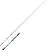 Canne Jigging Daiwa Harrier Jig Heavy Duty