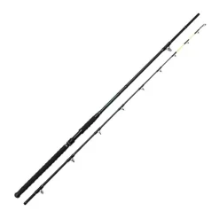 Canne Silure Madcat Black Cat-Stick 300