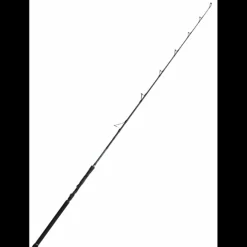 Canne Silure Madcat Black Vertical II