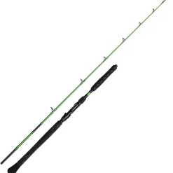 Canne Silure Madcat Green Close Combat