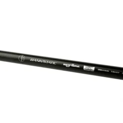Canne Silure Shimano Beastmaster Catfish Multi