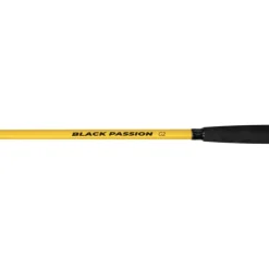 Canne Spinning Black Cat Black Passion G2 Allround