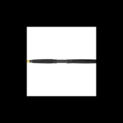Canne Spinning Black Cat Black Passion G2