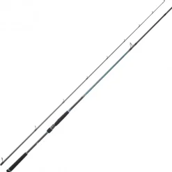 Canne Spinning Daiwa Caldia Seabass