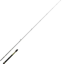 Canne Spinning Daiwa Crosscast 2023
