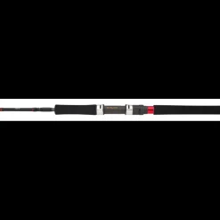 Canne Spinning Daiwa Grandwave Jigging