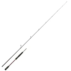 Canne Spinning Daiwa Infeet Seabass 2023