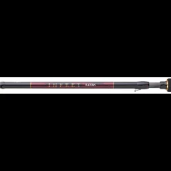Canne Spinning Daiwa Infeet Seabass 2023