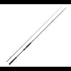 Canne Spinning Daiwa Labrax Seabass