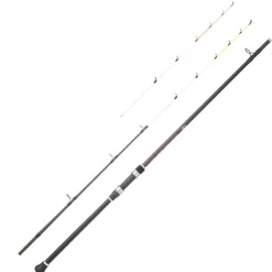 Canne Spinning Daiwa Megaforce Quiver Boat 24
