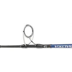 Canne Spinning Daiwa Saltiga Hiramasa 58 HS