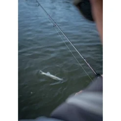 Canne Spinning Fox Rage Warrior Zander Jig 2025