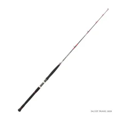 Canne Spinning Mer Daiwa Saltist Travel 2020