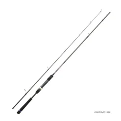 Canne Spinning Mer Daiwa Crosscast 2020