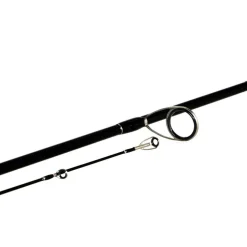 Canne Spinning Shimano Bassterra Sea Bass