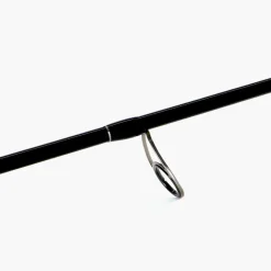 Canne Spinning Shimano Bassterra Sea Bass