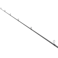 Canne Spinning Shimano Exsence Infinity