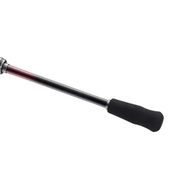 Canne Spinning Shimano Sephia SS