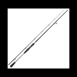 Canne Spinning Shimano Yasei AX Pike