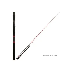 Canne Spinning Tenryu Injection SP 73 XH