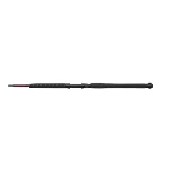 Canne Spinning Ugly Stick Silurus