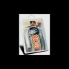 Coffret Leurres Souples Delalande Special Brochet