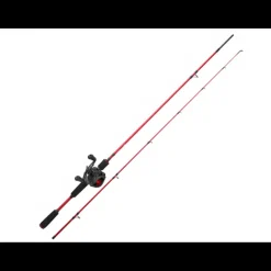 Combo Casting Daiwa Set Cast 24/25