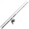 Combo Spinning Madcat Silure Alround