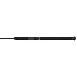 Combo Spinning Penn Wrath II Dorade