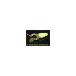 Leurre Big Bite Baits Floating Toad