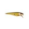Leurre CWC Bandit Crankbait 20cm