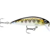 Leurre Rapala X-Rap Countdown 5cm