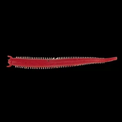 Leurre Souple Berkley Gulp Saltwater Fat Sandworm 10cm