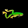 Leurre Souple Delalande Froggy 14cm
