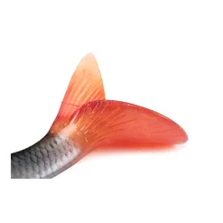 Leurre Souple Fox Rage Replicant Ultra-Realistic Roach
