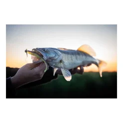 Leurre Souple Fox Rage Scent Shads 13cm